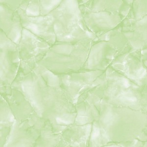 T 5695