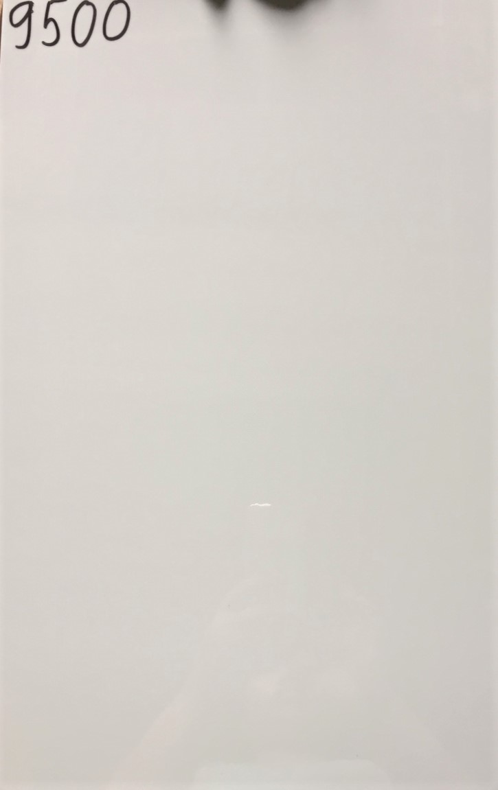 9500