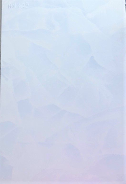 729