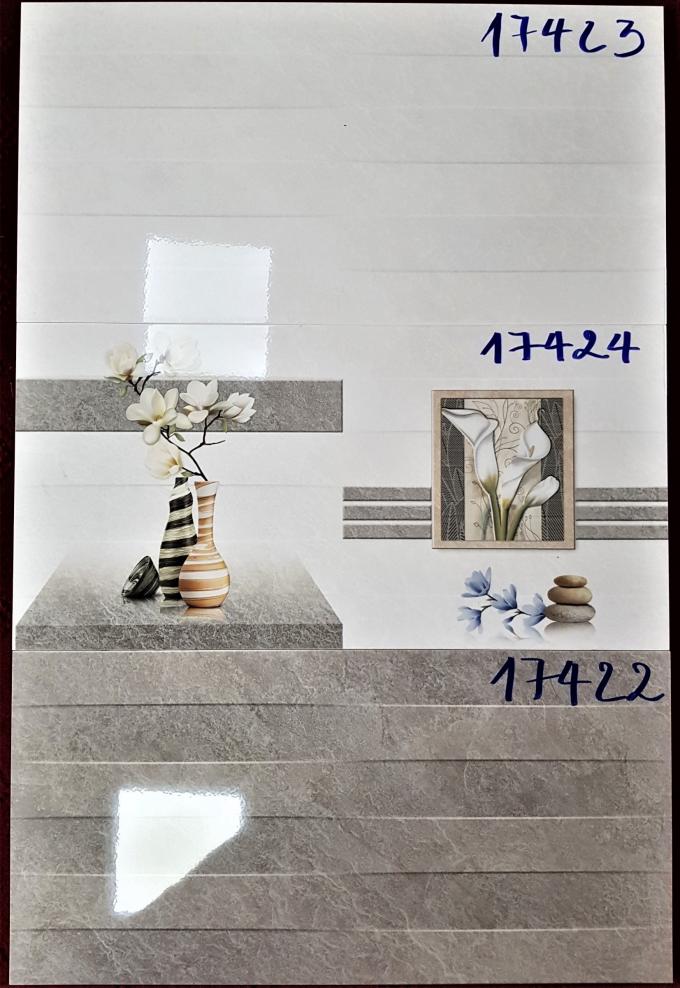 17423 - 17422 - 17424