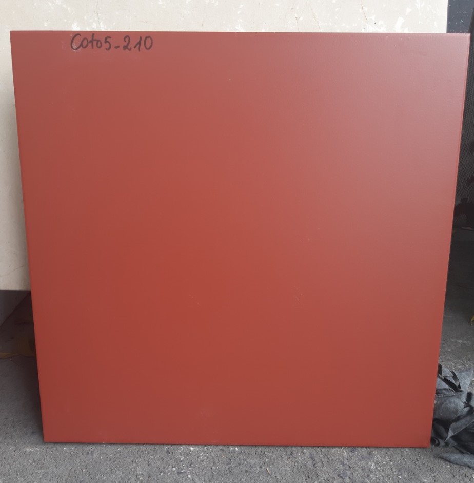 COTO5_210