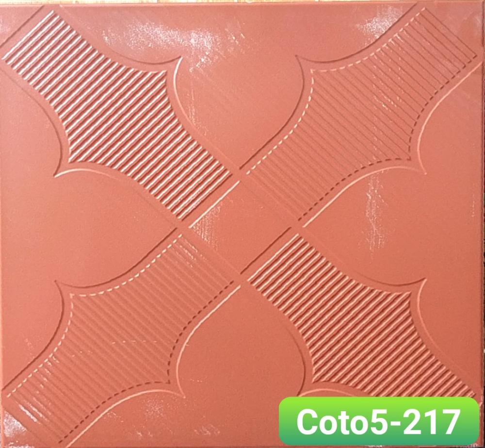 COTO5_217