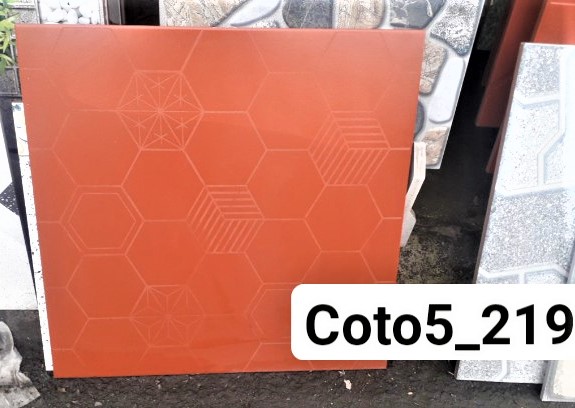 COTO5_219