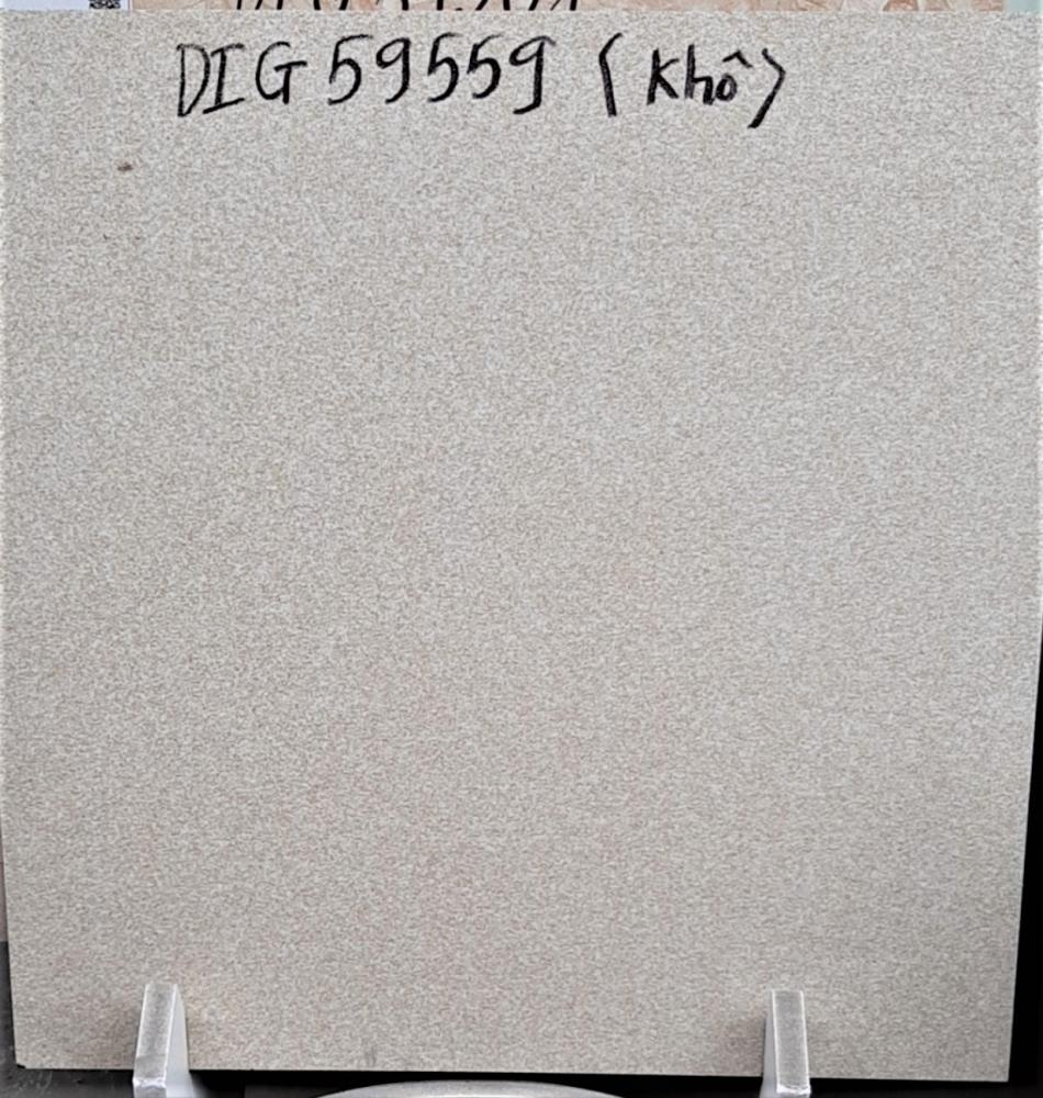 DIG 59559