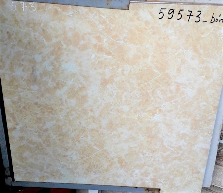 DIG 59573