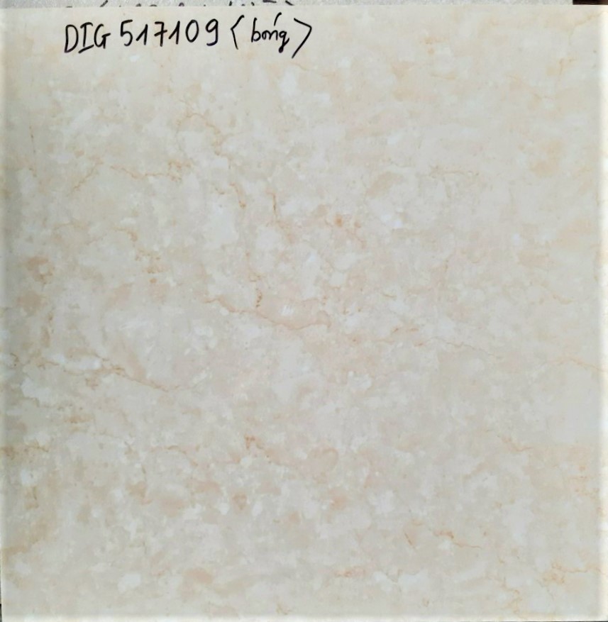 DIG 517109