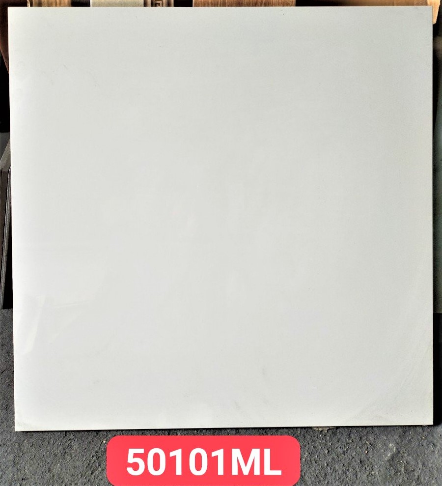 AD 50101 ML