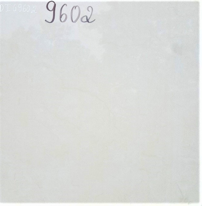 DIG 69602