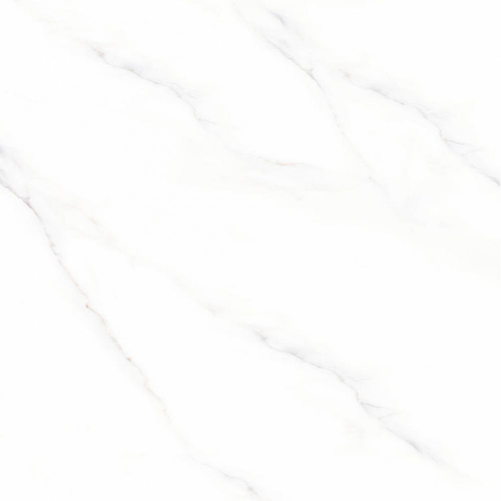 PY 69685