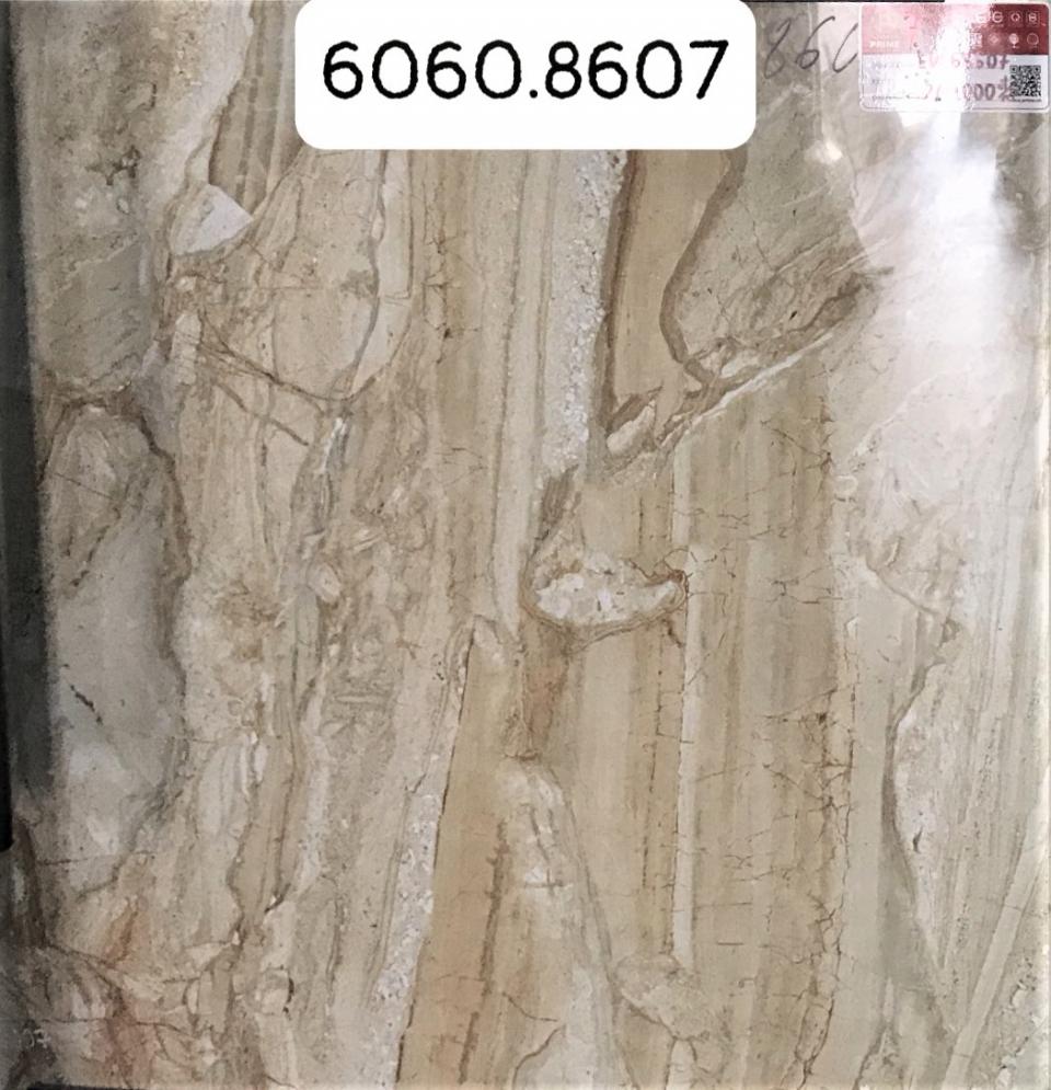 EVL 68607
