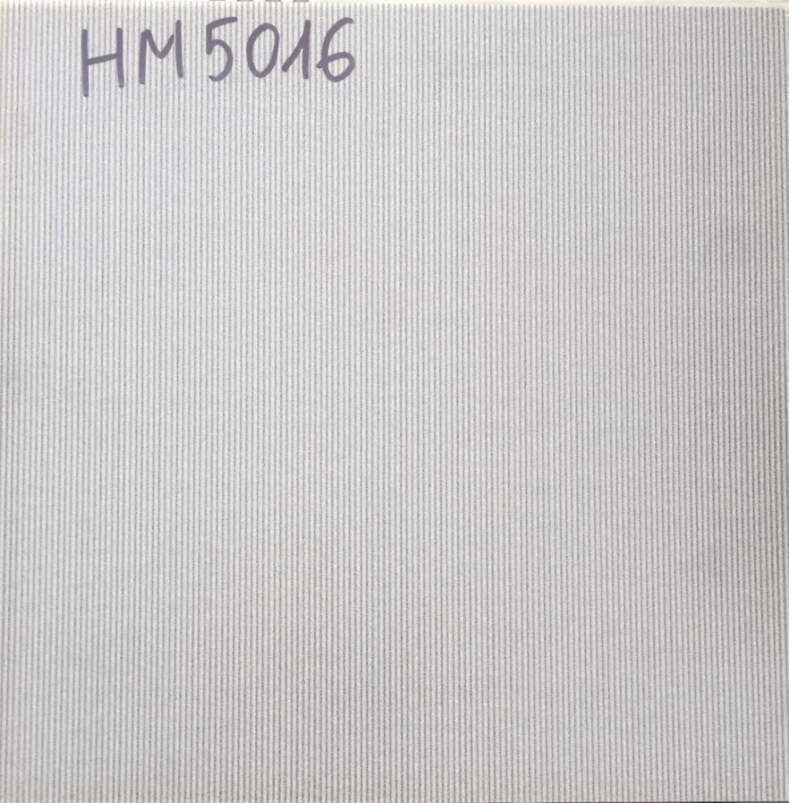 HM 5016