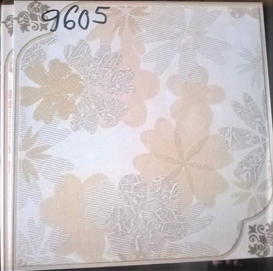 3DIG 9605