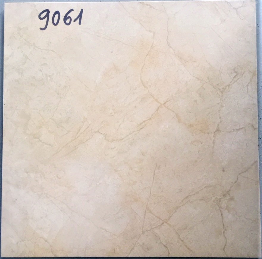 3DIG 9061
