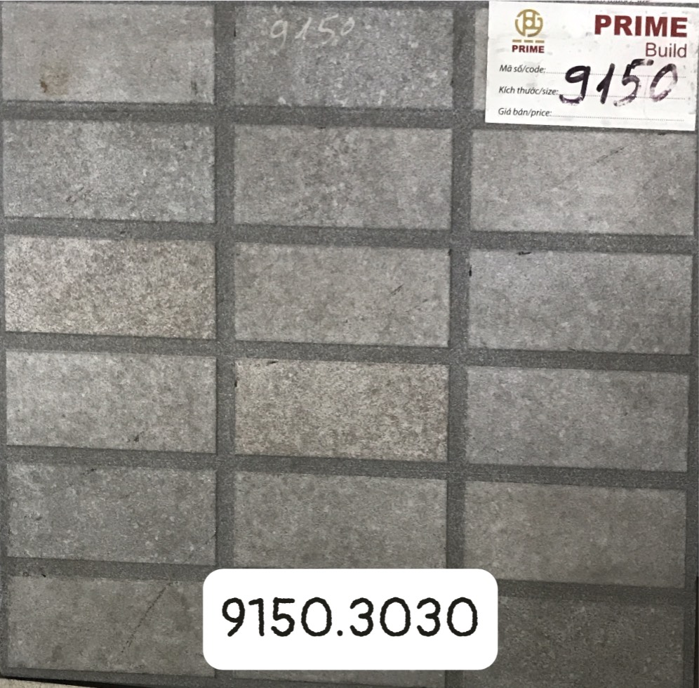 3DIG 9150x