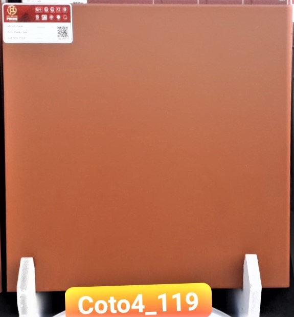 COTO4_119