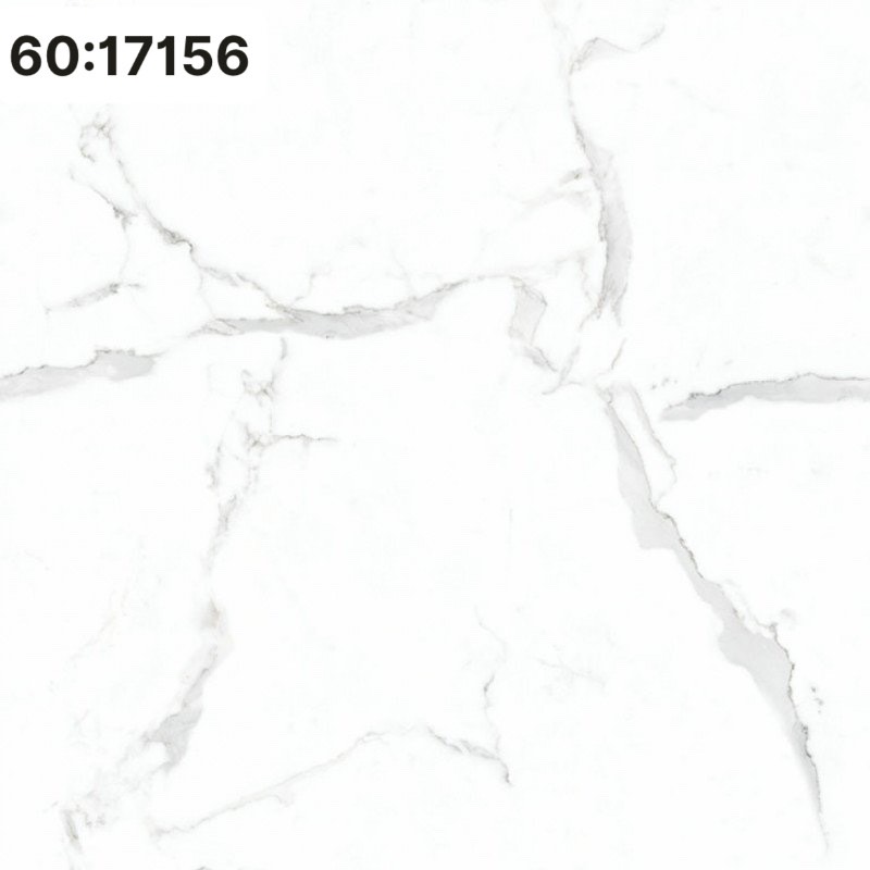 DIG617156